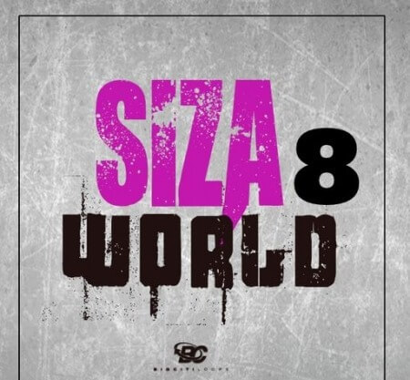 Big Citi Loops Siza World 8 WAV